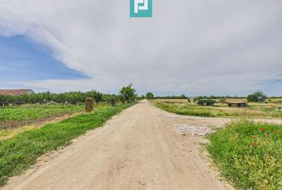 Teren extravilan în suprafață de 10.000 mp, Arad - 7