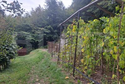 Casă de vânzare – Colonia 1 Mai 65.000 EURO - 13