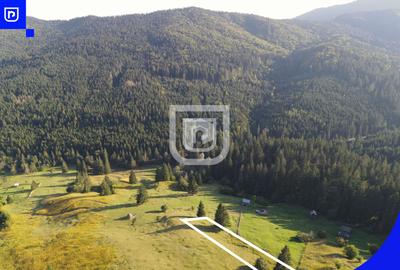 Teren situat in Frasin | BUCOVINA - 2