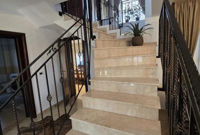 Casa de Vis, Serbanesti - 10