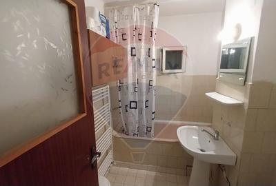 Apartament cu 3 camere decomandate în Lapus-Decebal - 13