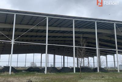COMISION 0% Hala industriala 5500 mp utili zona de Nord Timisoara - ID V5143 - 11
