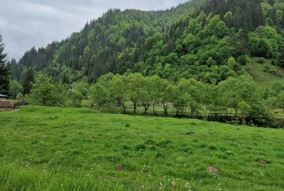 Teren intravilan - Rucar - Satic - 1775 mp - la strada principala - deschidere - 14