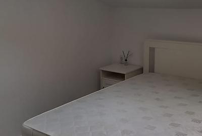 Apartament in Vila Calea Calarasi 132 etaj 1 + mansarda acces curte interioara - 16