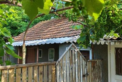 Casa 6 camere, teren 1586 mp, deschidere 22 m, Cazasu - 5