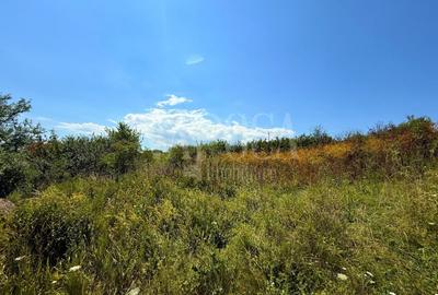 Teren intravilan pentru constructii de vanzare in Chinteni - 2