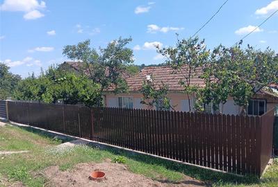 Casă individuală cu 3 camere în Ciurea
