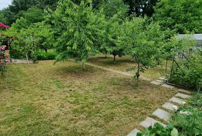 Proprietar – ofer spre vânzare vilă Corbeanca/Tămăși, langa padure - 13
