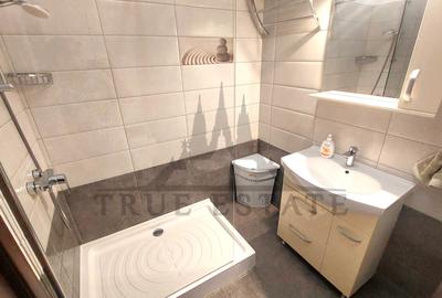 Apartament cu 2 camere in bloc nou + parcare - Calea Calarasilor - ocazie rara - 13