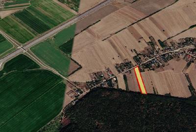 Snagov, Gruiu, Teren Intravilan 8,300 mp, Strada Tobosari - 4