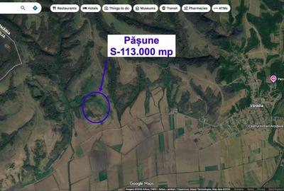Teren agricol extravilan de 113000 mp, în Vărădia