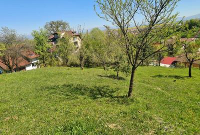 Teren Intravilan pentru Constructii Casa - 4
