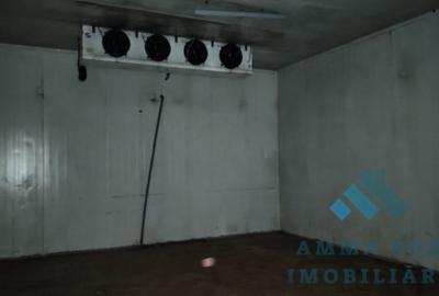 Hala Productie Abator - 1.000 mp - 5.000 mp teren - Sos. Oltenitei DN4 - 10