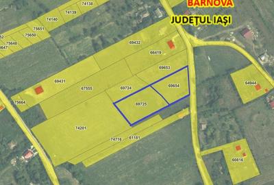 Ocazie! Barnova  sat Todirel teren 4777mp intravilan str. asfaltata apa canaliza - 3