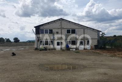 Teren si hala 42.000 mp + zona administrativa la 7 minute de Fagaras - 2