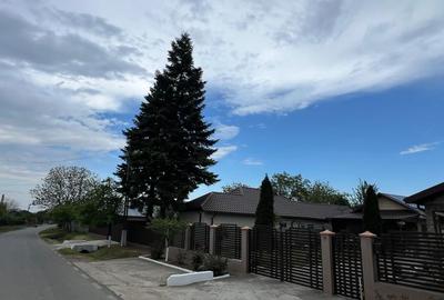 🏡 CASĂ + TEREN INTRAVILAN 4.971 MP – URECHEȘTI, VRANCEA - 7