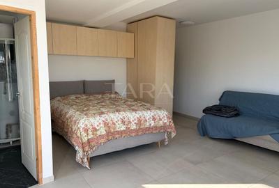 Apartament 1 cameră de închiriat – Gruia - 3