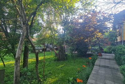 Casa 100m2 in zona Brad (Teren 1026m2) - 11