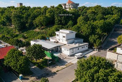 Spațiu comercial, 721 mp în Central