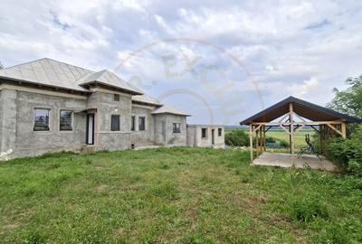 Casă complet renovată RATESTI, Tigveni – Argeș cu teren 1746 mp - 11
