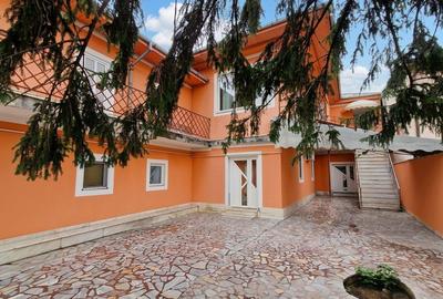 Vila , 300mp utili, ideala afterschool, cazare muncitori straini etc! - 3