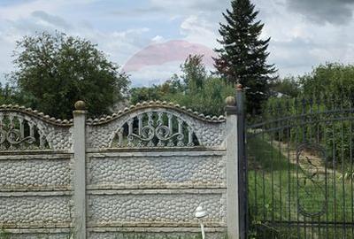 Domeniu rural, gospodarie/multifunctionala cu casa, livada, vie - 11