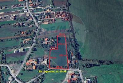 Teren intravilan, 13000 mp, Stupini - 15