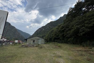 Teren de vânzare – 13.500 mp | DN7 – Valea Oltului | Brezoi - 5