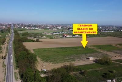 Mosnita Noua - teren pentru constructie 6apartamente - toate utilitatile - 5