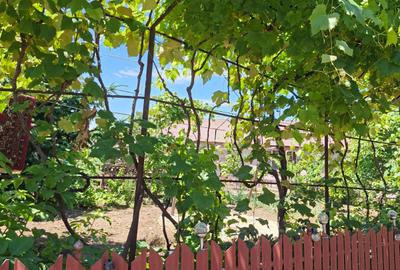 Casă de vânzare în Lungulețu, județul Dâmbovița – 59.000 € - 1