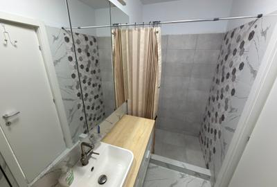 Inchiriere 2 camere bloc nou, parter cu terasa si gradina, zona N Grigorescu - 8