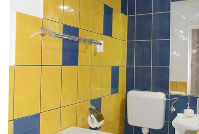 Apartament cu 3 camere mobilate,cartier Tractoru - 10