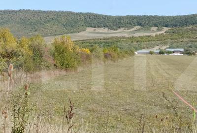 Teren Construcții intravilan de 4900 mp, în Exterior Sud