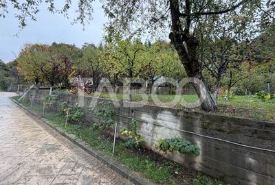 Casa cu potential de investitie 7 camere foisor 4 bazine de pesti - 24