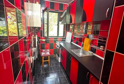 Apartament cu 2 camere, etajul 3/4, zona Alexandru cel Bun - 5