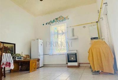 VICTOR BABES - 3 CAM - GRADINA - PARTER - PARCARE - CENTRALA- - 5