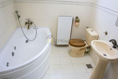 Vila spatioasa pt doua familii 10 camere Clinceni Monumentul Eroilor - 24