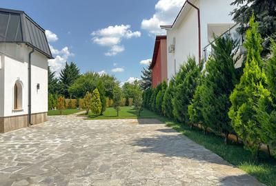 Chirie I Vilă individuală | 3 dormitoare | 1000 mp I Iancu Nicolae - 42
