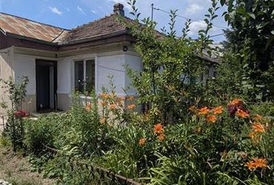 Casa 3 camere Cantemir - Podu rosu - 1