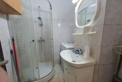 Garsonieră Titan Parc IOR 34mp AC pet friendly - 4