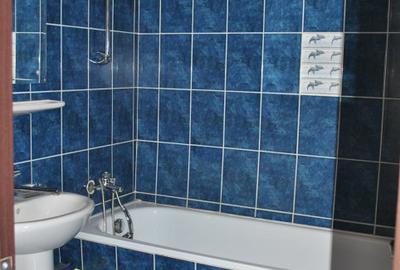 2 Camere Tineretului, Direct proprietar, renovat, mobilat - 10