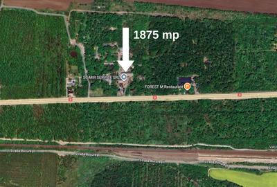 Hala 450 mp in mijlocul padurii Valu lui Traian cu teren 1875 mp - 8