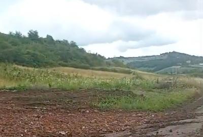 Teren agricol extravilan de 1000 mp, în Gușterița