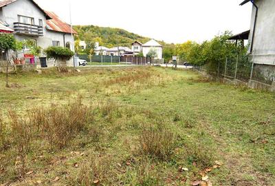 9.000 MP DE LINIȘTE, NATURĂ ȘI OPORTUNITATE – ANINOASA   DOAR 45. - 3