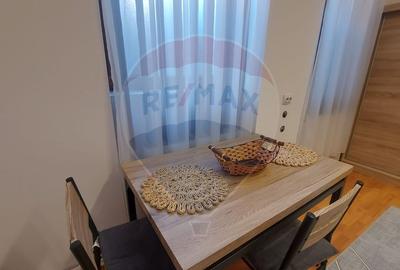 Apartament cu o camera la curte de vanzare pe Ady Endre, Oradea, Bihor - 11