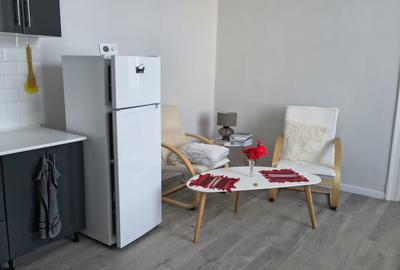 Apartament in zona centrala,finisat (cladire istorica ),mobilat,cu parcare - 14