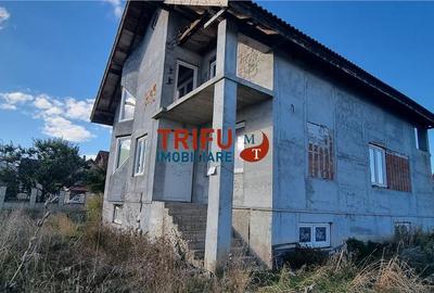 Casă individuală cu 9 camere în Ampoi 1