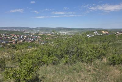 Teren Construcții intravilan de 755 mp, în Dezmir