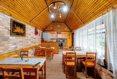 Pensiune de vânzare, Corbșori (Poenari)| potențial real de Business - 24