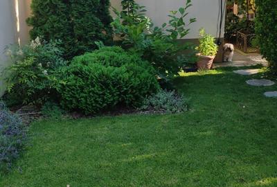 Vand casa individuala Fratelia 220000 euro - 2